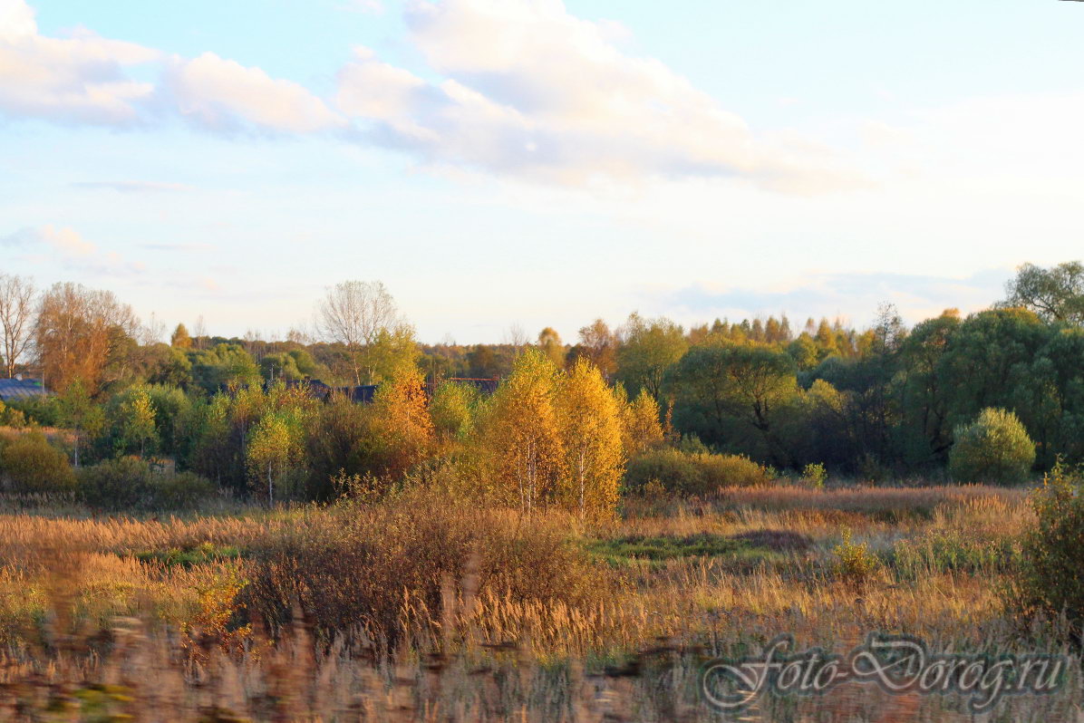  17-1 [-72]. 26 .  2017, .  .  . . 
  101.