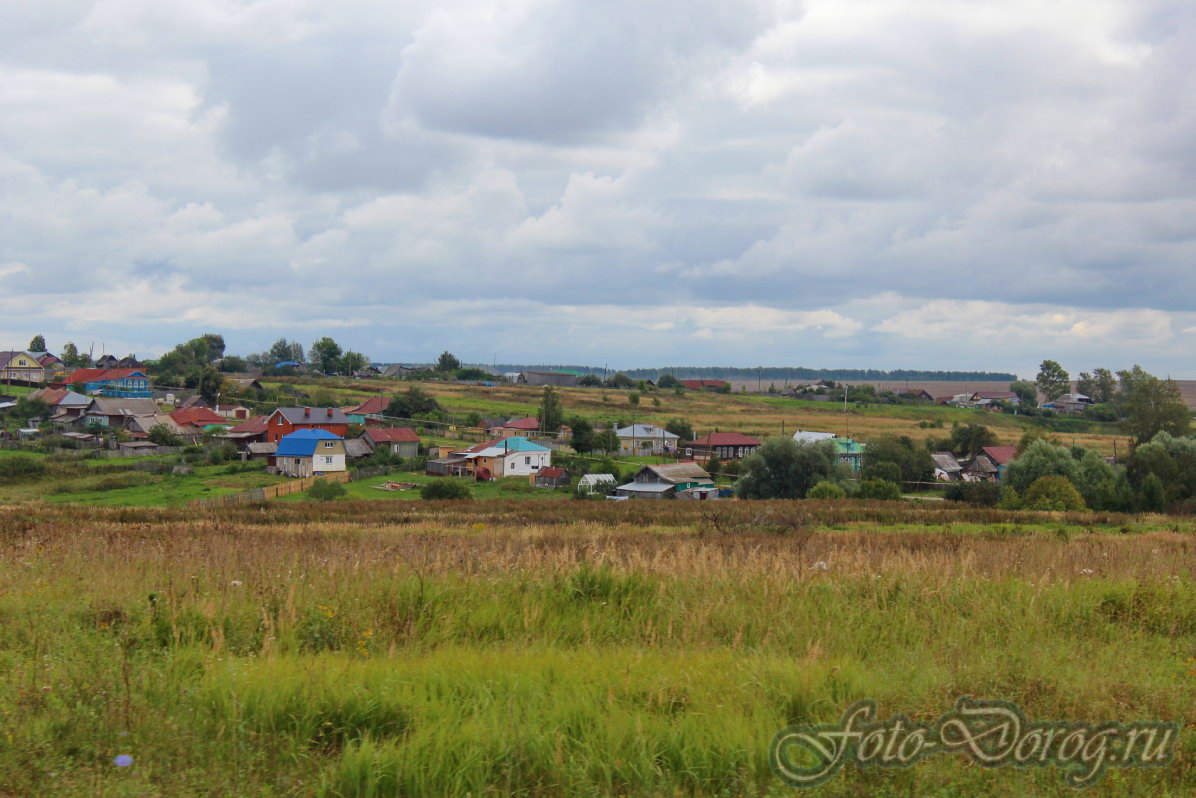  22-0063.  2016.  .  .  
  49.