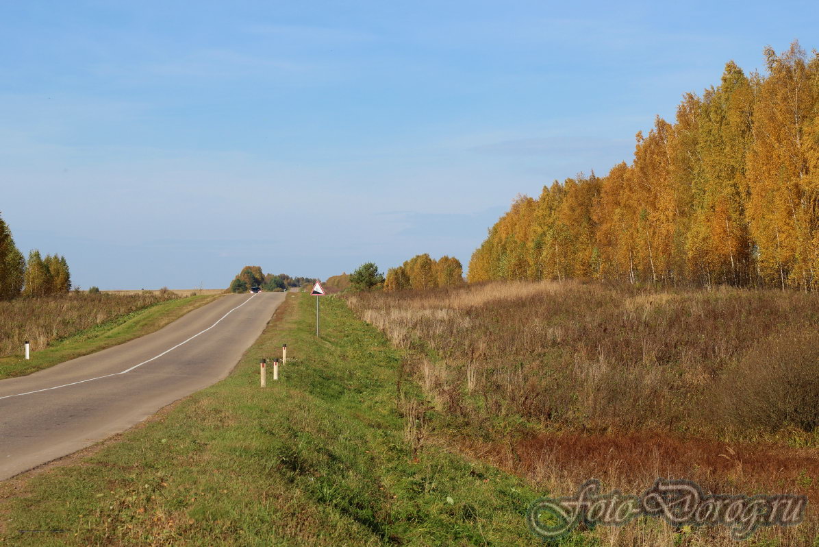  22-0063.  2017, .  .  .  
  4.