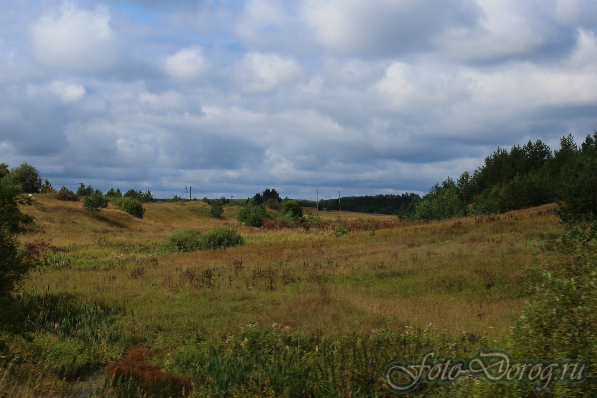  22-0079 [-72].  2016, .  .  .  
  281.