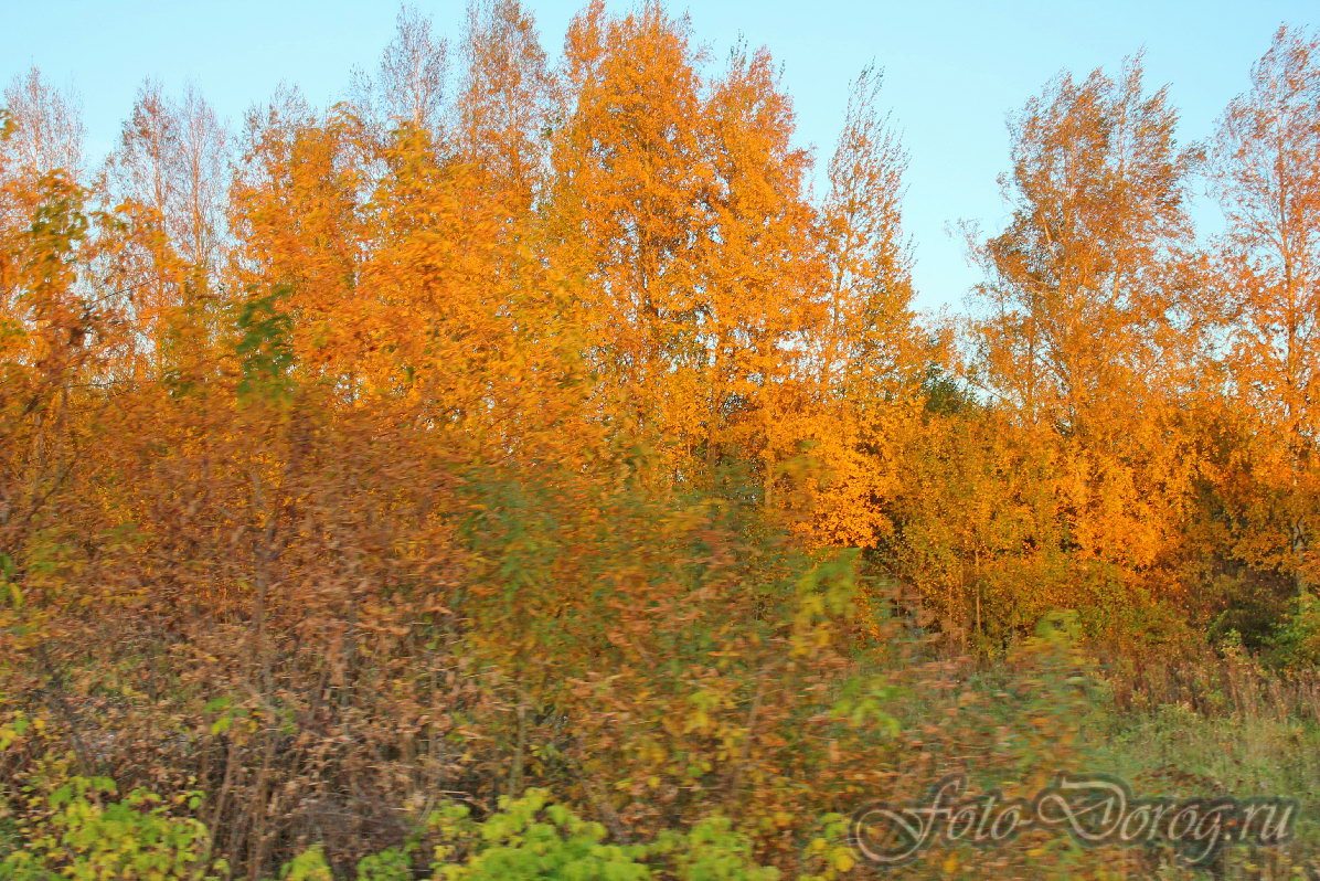  22-0079 [-72].  2016, .  .  .  
  119.