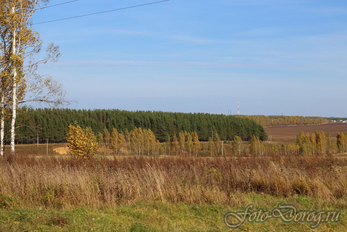  22-0138.  2017, .  .  .  
  4.