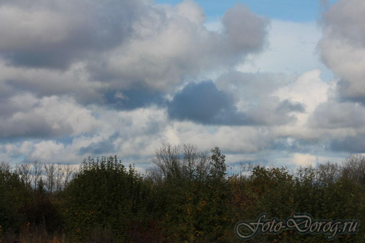  -4 . 330  414 .  2013,  .  .  .    . 
  714.