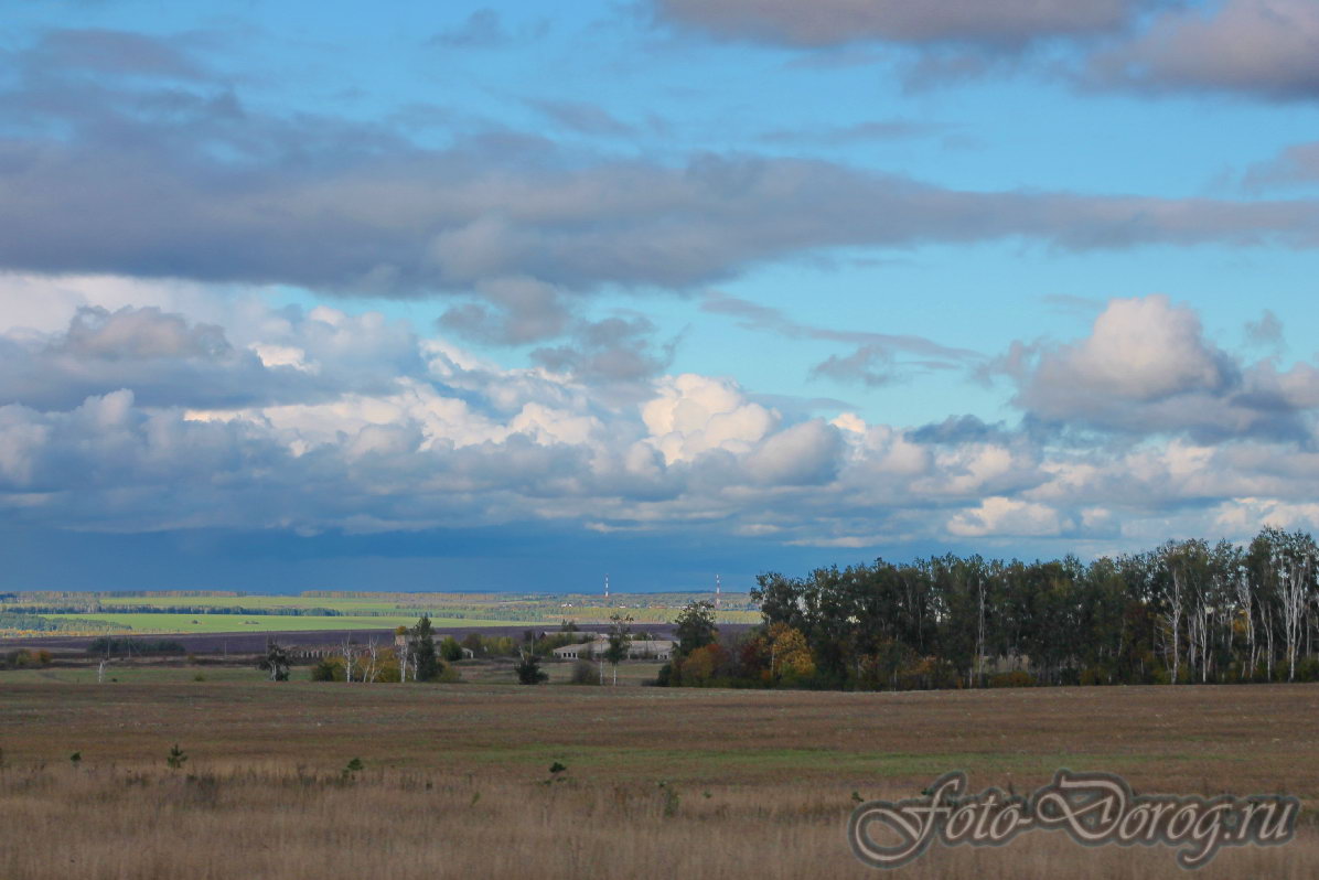  -4 . 330  414 .  2013,  .  .  .    . 
  711.