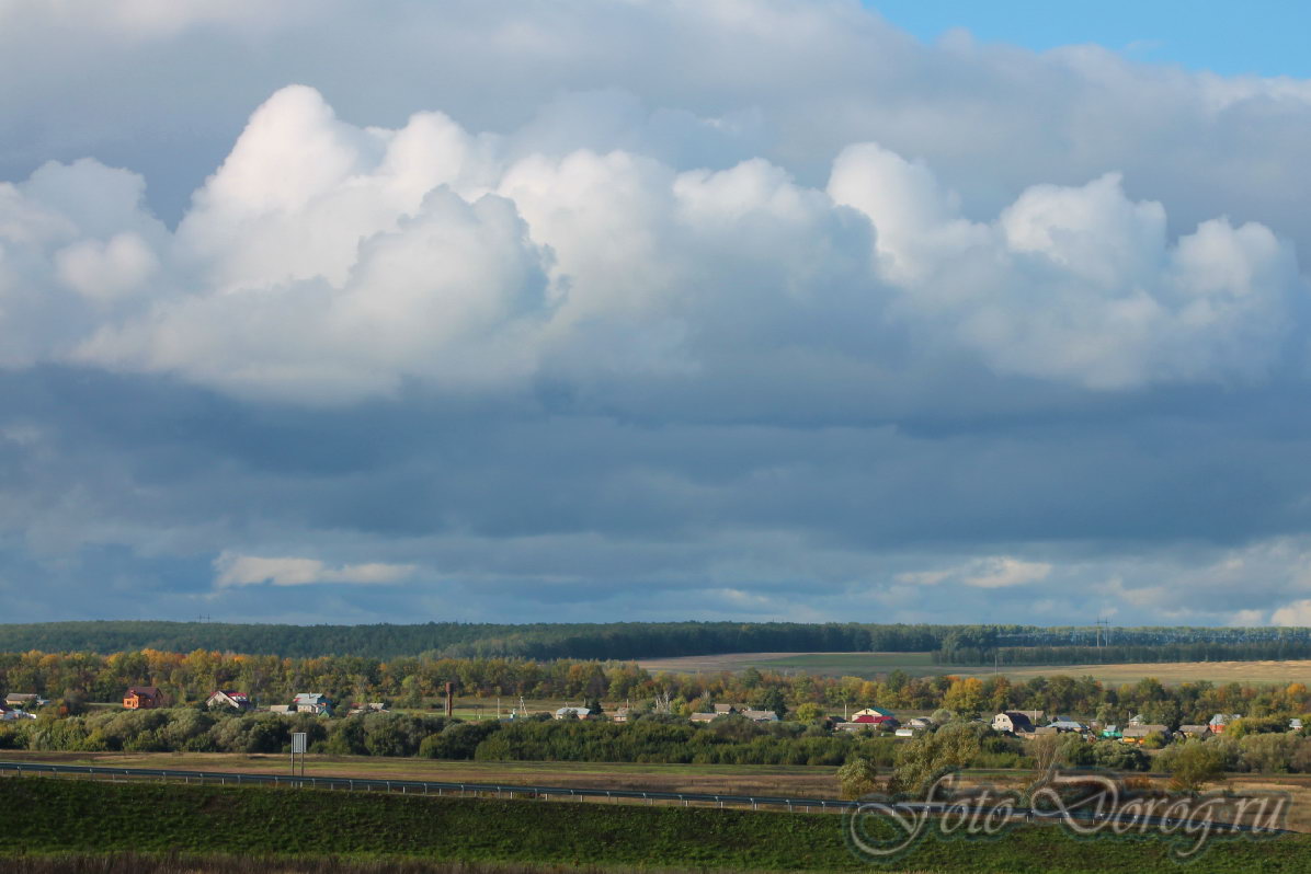  -4 . 330  414 .  2013,  .  .  .    . 
  703.