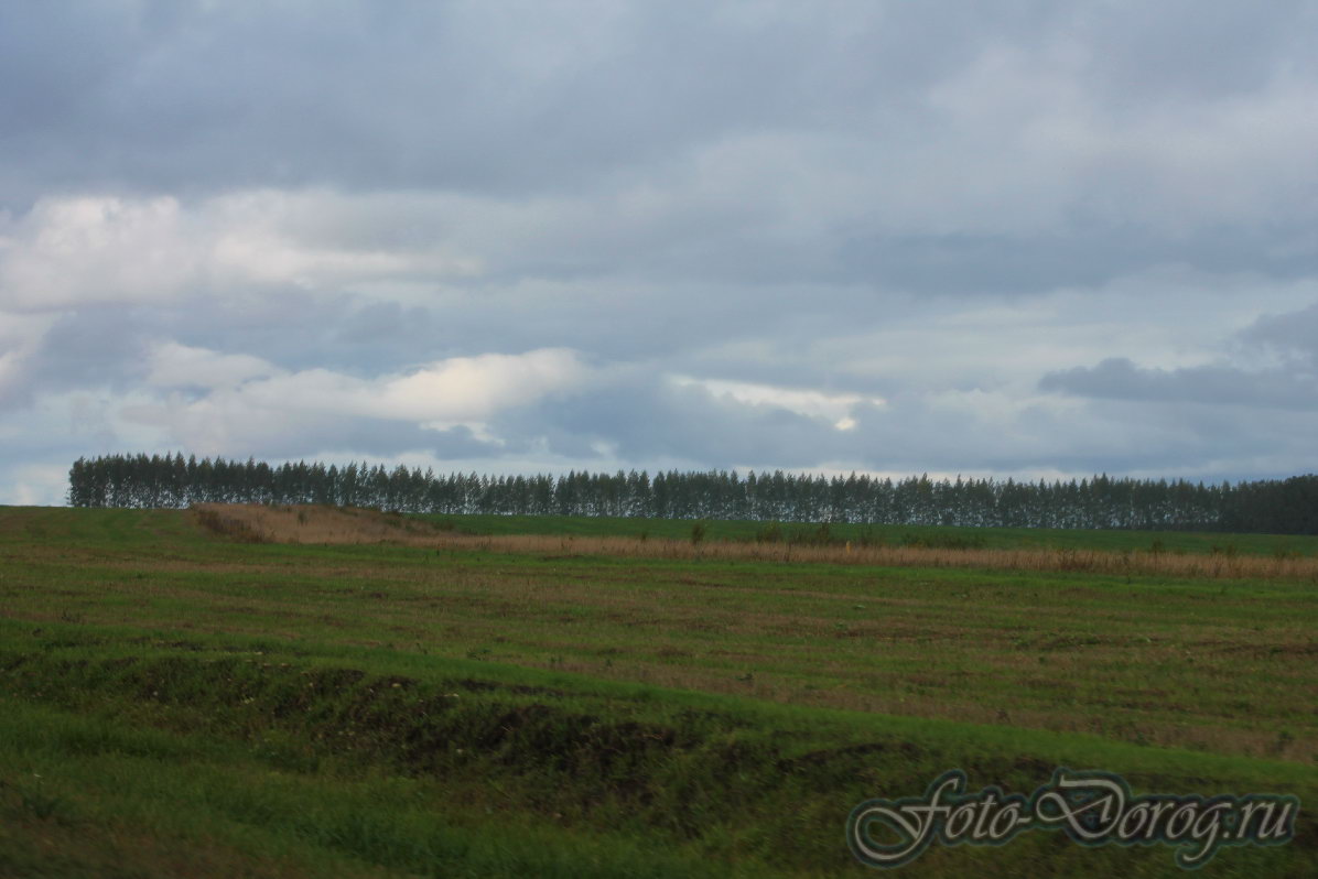  -4 . 346 .  2013,  .  .  . .     (330  414 ). 
  665.