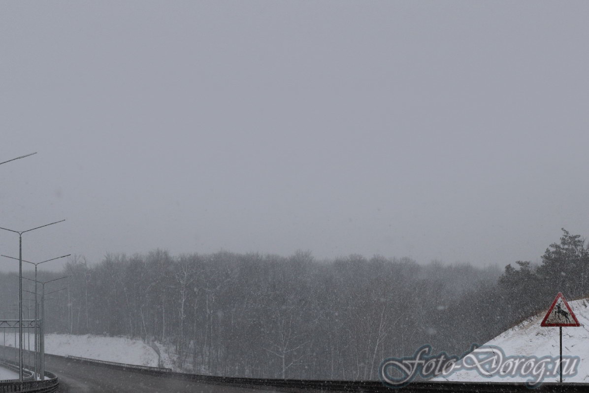  -4 . 492  517 .  2015,  .  .  .  . 
  234.