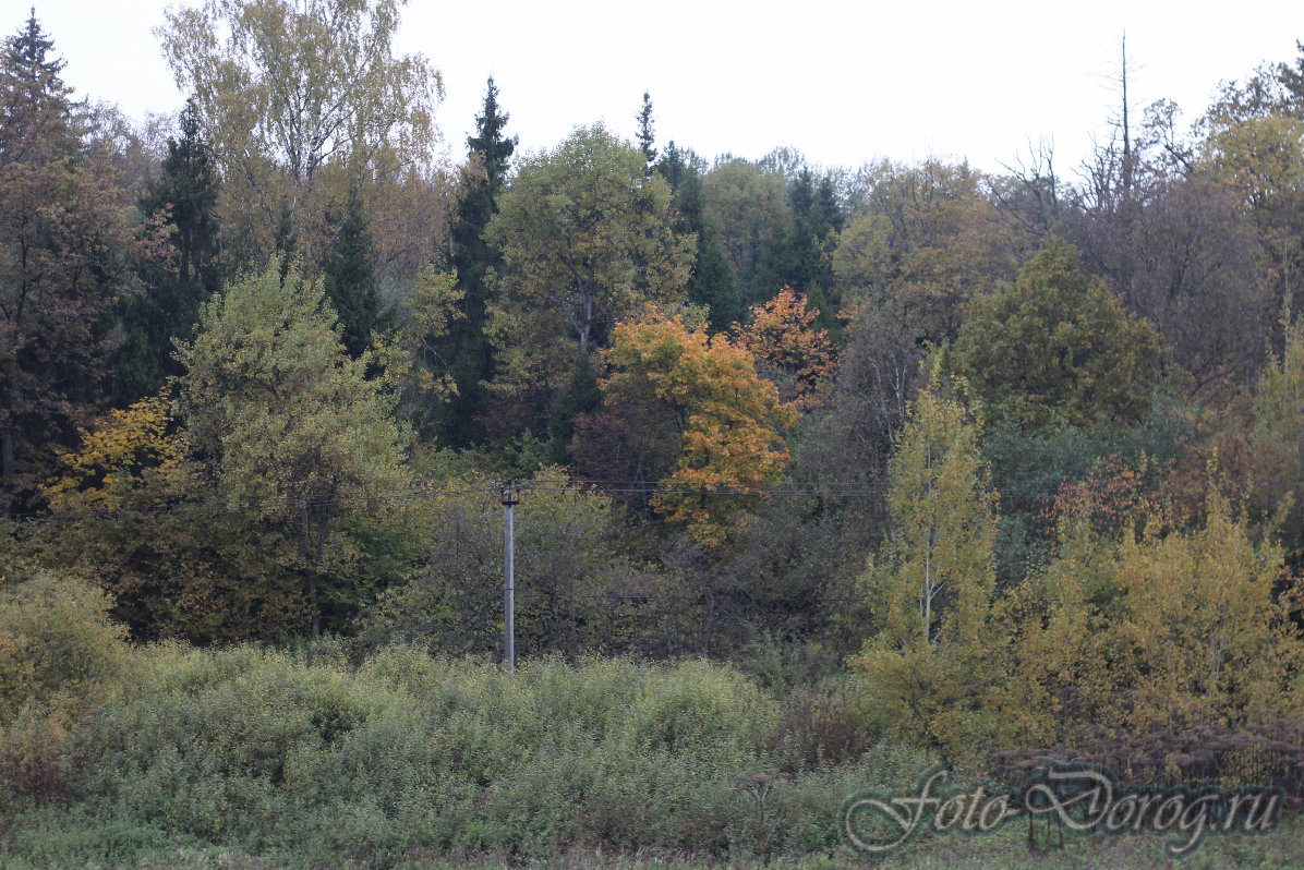  -8 .  2016.  . - .  
  141.