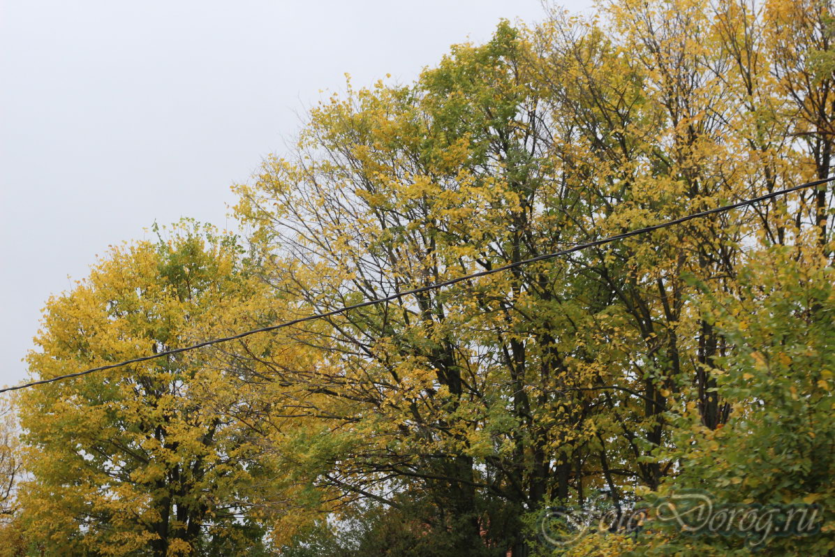  -8 .  2016.  . - .  
  167.