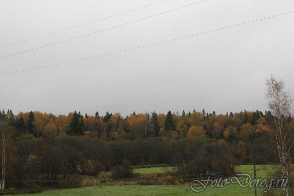  -8 . 49 .  2016.  .  .  
  6.