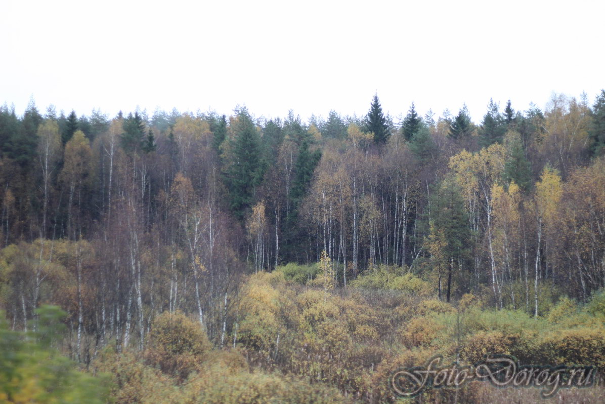  -8 .  2016.  . - .  
  31.