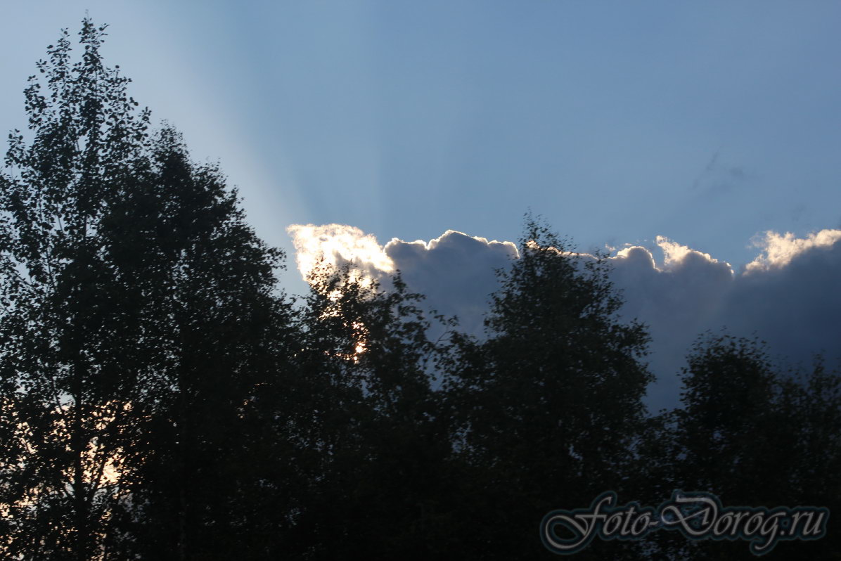  -9 .  2016.  .  .  
  323.