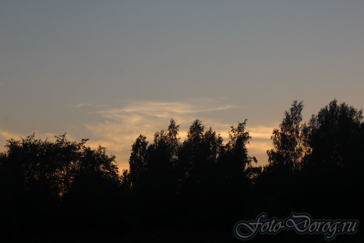  -9 .  2016, .  .  
  333.