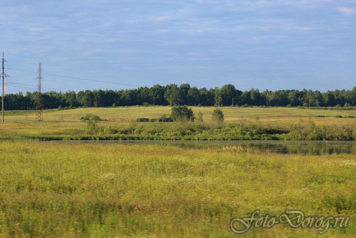  -9 .  2017, .  .  
  49.