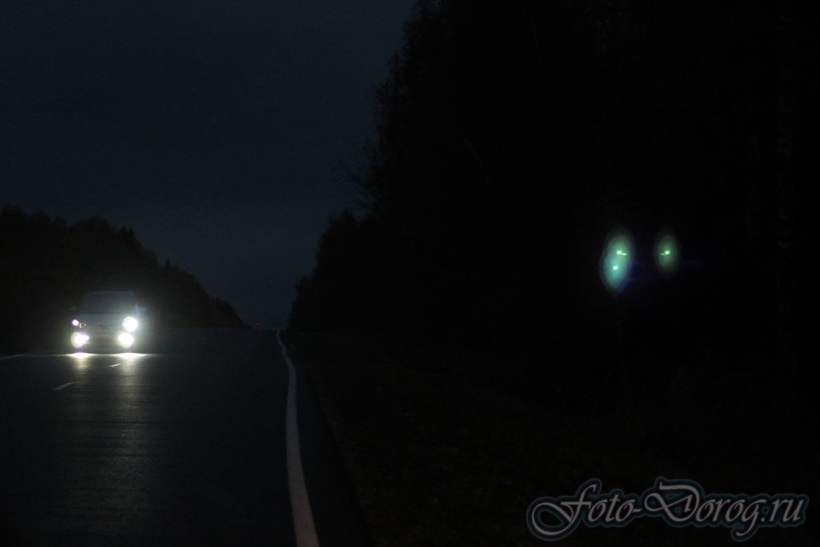  -75 [17-2].  2016, , .  .  
  55.