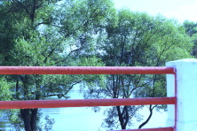  -100  .  2016. 23  2016 .  .  .   . 
  30.