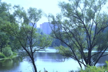  -100  .  2016. 23  2016 .  .  .   . 
  32.