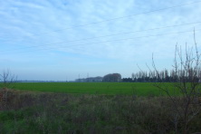  -136. 13 .  2012. 26  2012 .   
  70.