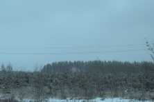  -4 . 414  464 .  2015,  . 11  2015 .     . 
  219.