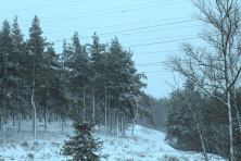  -4 .   2015. 11  2015 .  .  
  207.