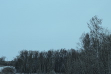  -4 . 260 .  2015. 11  2015 .  . : ,     -4. 
  174.