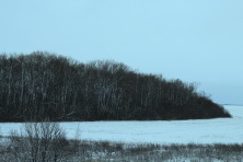  -4 . 260 .  2015. 11  2015 .  . : ,     -4. 
  173.