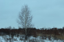  -4 . 239 .  2015. 11  2015 .  .  . 
  155.