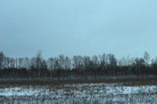  -4 . 237 .  2015. 11  2015 .  .  . 
  150.