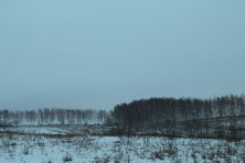  -4 .   2015. 11  2015 .  .  
  88.