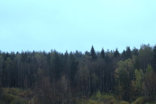  -8 .   2016. 30  2016 .  .  
  105.