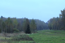  -8 .   2016. 30  2016 .  .  
  124.