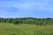  -9 .  2016. 22  2016 .  .  
  263.